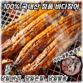 당일조업 통영 자연산 손질 바다 장어 다양한 kg 산지직송 배송 특대 머리뼈+몸통뼈 소스2증정