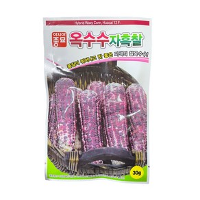 옥수수자흑찰 씨앗 30g [24년포장] 자색의 찰옥수수 종자 아시아종묘, 1개