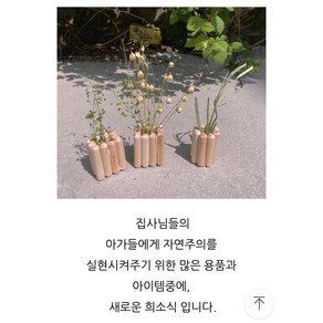 햄스터 나무 화분 꽂이