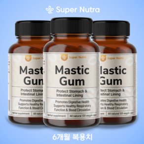 미국빠른직구 수퍼누트라 매스틱검 1000mg 120정 60일분, 3개