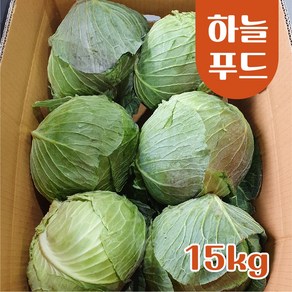 하늘푸드 (15kg) 국내산 양배추 식자재