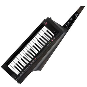 KORG 코르그 - KEYTAR 숄더 키보드 RK-100S 2 블랙 RK-100S2-BK