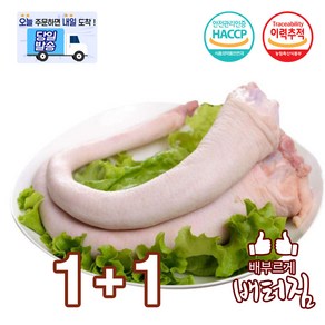 (배터짐) 국내산 돼지꼬리 돈꼬리, 800g, 2개