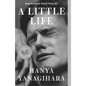 (영문도서) A Little Life Papeback, Ancho Books, English, 9780804172707