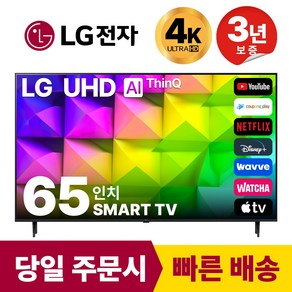 LG전자 65인치(165CM) 4K 울트라HD 스마트 TV 65UR8000 국내OTT이용가능, 방문설치, 벽걸이형, 65인치