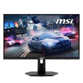 MSI FHD 옵틱스 VA 165Hz 게이밍 모니터, 60cm, G243