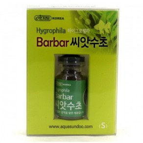 이스타 씨앗수초 하이그로필라 종 S 1병 이스타 바바 씨앗수초