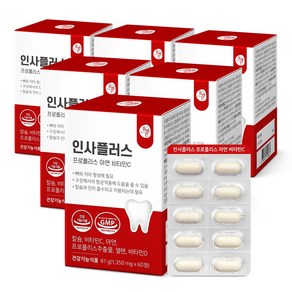 인사플러스 프로폴리스 아연 비타민C, 6개, 60정