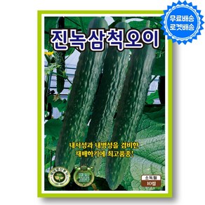 삼척 오이씨앗 (10립) 가시 오이 씨앗 씨 종자, 1개