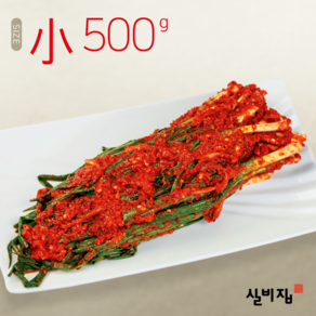 대전 실비집 / 매운 파김치 500g, 1개