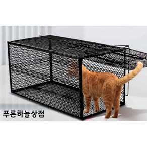 푸른 고양이포획틀 고양이덫 전자동 포획틀, 고양이 포획 장갑