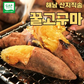 [오복이네] 해남 꿀 고구마 특상 호박 밤 고구마, 1개, 특상 5kg