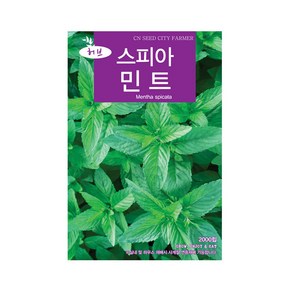 (CN) 스피아민트 씨앗 (2000립), 1개