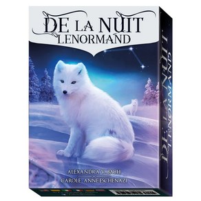 정품 델라누이 레노먼드 오라클카드 De la Nuit Lenomand Oacle, 1개