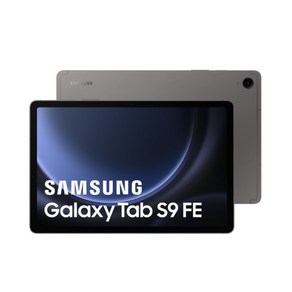삼성전자 갤럭시탭S9 FE 플러스 128/256GB 태블릿PC, 128GB x 그레이, Wi-Fi