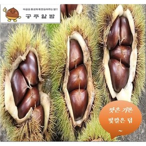 24년햇공주밤 (특/대)사이즈 2kg ~ 8kg, (대) 6kg, 1개