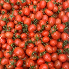 부여세도 대추 방울토마토 로얄과 대과 1kg 2kg 5kg, 1개, 로얄과 5kg
