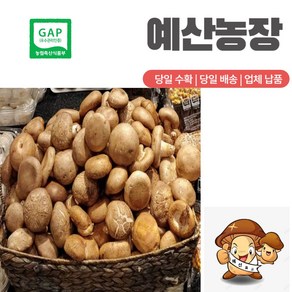 GAP인증 생표고버섯 동고 중품 (가정용) 추천, 6kg, 1개