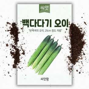 백다다기 오이 씨앗(10립) 오이씨앗