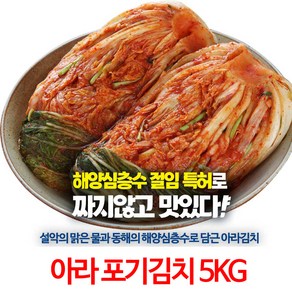 강원도 고성 아라김치 포기김치 5KG, 1세트