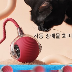 윈티크 고양이 꼬리잡기 스마트볼 공놀이 장난감