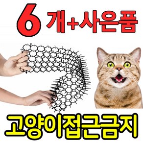 파리박사 고양이 기피제 매트, 6개