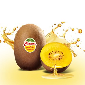 [만들어봄] 제스프리 썬 골드키위 정품 중대과 특대과 점보과, 1개, 특대과 5.7kg 내외(벌크) (44-48입)