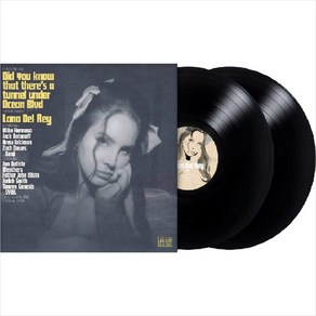 (수입2LP) Lana Del Rey - Did You Know that thee's a tunnel Unde Ocean Blvd (Gatefold)