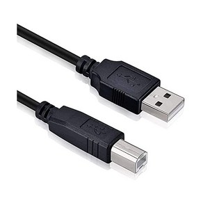 포커스라이트 스칼렛 솔로 컴팩트 오디오용 비치 USB 2.0 데이터 동기화 케이블 코드 포르테 오디오 인터페이스 VRM 박스 B2 가상 6i62세대 MK2 192 KHz, 1개