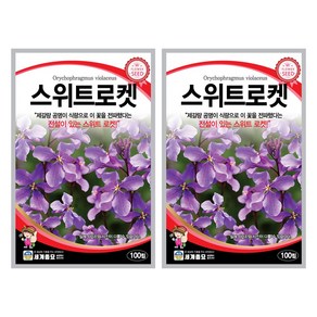 스위트로켓 씨앗 100립 꽃씨앗 세계종묘 모칸도, 2개
