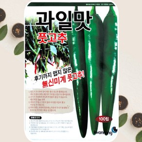 고추씨앗 과일맛풋 고추 종자 100립 권농종묘, 1개