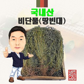 국내산 비단풀(땅빈대) 100g (경북 영천) 국산, 1개