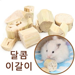 이갈이 건조사탕수수20g, 20g, 1개