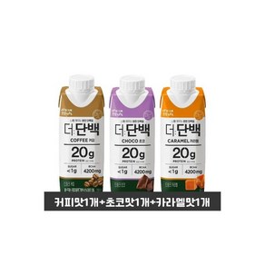 빙그레 더단백드링크 250ml 커피1+초코1+카라멜1(총3개입)/단백질드링크/우유단백질/단백질보충/무