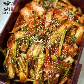 손품정 진짜 전라도 얼갈이 김치 겉절이 국내산, 1개, 10kg