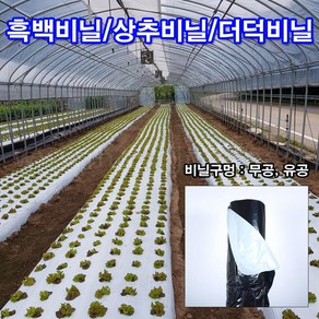 한누리팜마트/흑백비닐 (무공)0.03x160cmx500m/상추비닐/더덕비닐, 1개