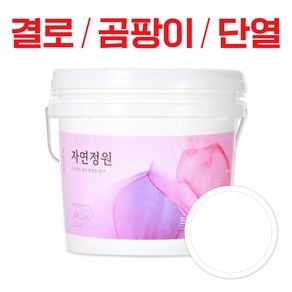 바르는 천연 단열 페인트 자연정원 항균 방수 곰팡이제거 결로방지, 화이트, 18kg, 1개