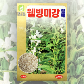 웰빙미강참깨씨앗 3000립 한국대농종묘 씨앗 종자 깨씨앗 깨종자 참깨씨앗 참깨종자, 1개