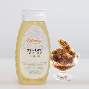 천연 장수벌꿀 튜브 아카시아꿀 500g, 1개