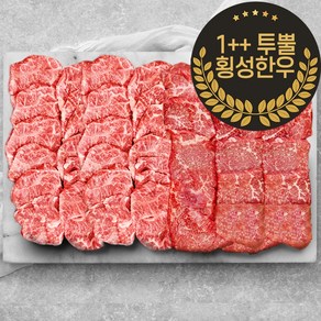 1++ 투뿔 횡성한우 구이 배부른 마블링 모둠 한판 2종 세트 800g