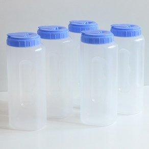 보성 반사각 물병 1호 5p, 혼합 색상, 1.8L, 5개