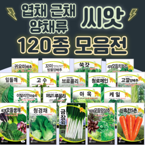 채소씨앗 / 공심채 루꼴라 케일 고수 깻잎 브로콜리 청경채 시금치 치커리 쑥갓 종자, 27. 쑥갓 15g, 1개