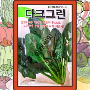 여름시금치씨앗 하계시금치종자 다크그린 500g, 1개