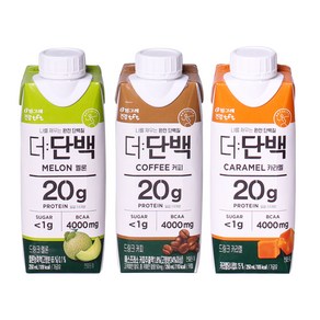 빙그레 더단백 3종 세트 커피+멜론+카라멜 250ml 각6개씩