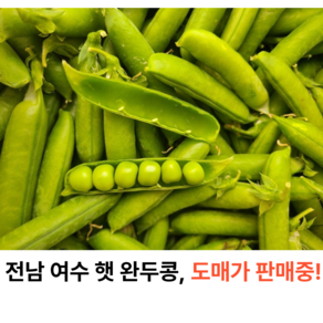 [도매가] 고소한 전남여수 햇 완두콩 국내산, 1박스, 500g