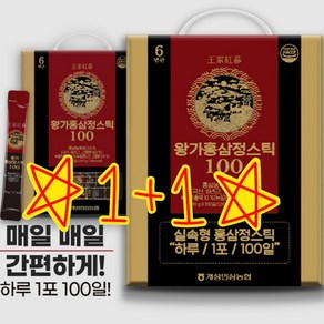 개성인삼농협 왕가홍삼정스틱100 10g x 100포 2박스 (쇼핑백 포함), 2개, 1kg