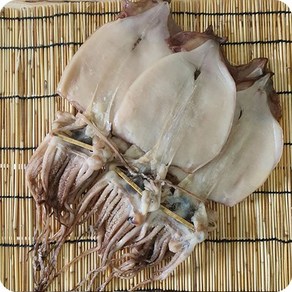 반건조 오징어(피데기), 중/1.1kg(10미) × 1박스, 중/1.1kg(10미), 1박스