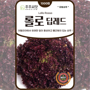 [주주씨앗] 딥레드 적롤로 상추씨앗 1000립 적상추 롤로로사 종자 씨 채소씨 상추씨 채소씨앗, 1개