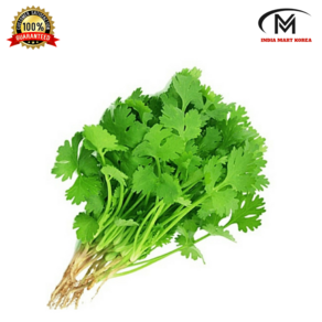 FRESH CORIANDER (고수)100G, 1개