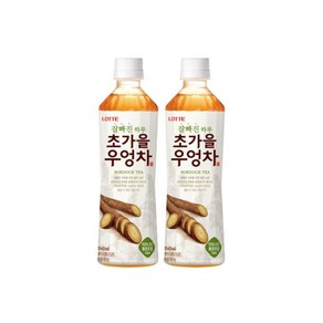 롯데칠성음료 잘빠진 하루 초가을 우엉차, 500ml, 20개